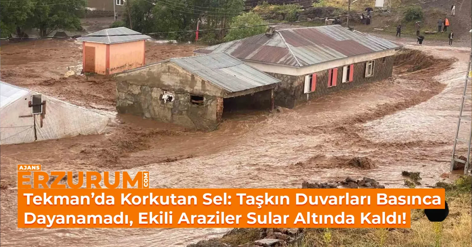 Tekman’da Korkutan Sel: Taşkın Duvarları Basınca Dayanamadı, Ekili Araziler Sular Altında Kaldı!